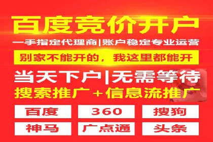 如何做SEM：从案例看策略制定与实施